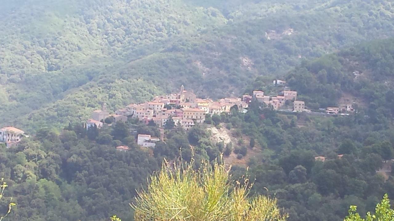 La Casalina Dell'Elba Lägenhet Marciana  Exteriör bild